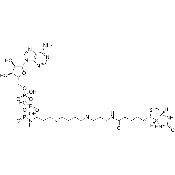 ATP-polyamine-biotin 1800401-93-7
